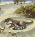 Scientists used a new technique to find out dinosaurs' body temperatures based on their eggshells.