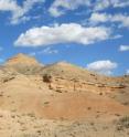 Oviraptor fossils that were part of the study were found in the Gobi Desert's Flaming Cliffs.