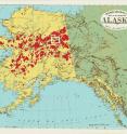 Researchers studied fire activity in a 2,000-square kilometer region of the Yukon Flats in Alaska. The study area lies within the white rectangle on the map. Zones burned in Alaska since 1950 are in red.