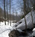 This image shows a snowpack in the Lesser Caucasus mountains of northeastern Turkey, elevation about 2,700 feet, late April 2012. The lowlands below depend heavily on seasonal snowmelt, projected to decline in this region and others in coming decades, due to global warming.