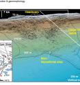 Landslide distribution and geomorphology.