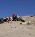 Co-author Adriana Mancuso (right) and Juan Martn Leardi (left) excavate the skeleton of the early mammal relative Massetognathus.  This was also the site of one of the dated samples in the study.