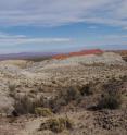 Co-author Adriana Mancuso (far left) investigates badlands of the Cha&ntilde;ares Formation, deposited 236 to 234 million years ago in what is now Talampaya National Park, Argentina.