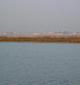 A low-lying marsh was threatened by sea-level rise in the Venice Lagoon.