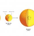 The magnetic fields seen in red giants are left over from an earlier phase when the stellar cores hosted turbulent convection, creating a 'magnetic dynamo'. Magnetic fields are only present in stars more massive than the Sun because core convection only occurs in those stars.