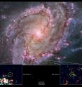 The nearby spiral galaxy M83 is currently the only one known to host two potential Eta Carinae twins. This composite of images from the Hubble Space Telescope's Wide Field Camera 3 instrument shows a galaxy ablaze with newly formed stars. A high rate of star formation increases the chances of finding massive stars that have recently undergone an Eta Carinae-like outburst. Bottom: Insets zoom into Hubble data to show the locations of M83's Eta twins.