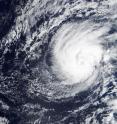 On Jan. 11 at 22:30 UTC (5:30 p.m. EST) the MODIS instrument aboard NASA's Terra satellite captured this visible image of Tropical Storm Pali as it was becoming an early record-breaking hurricane in the Central Pacific Ocean.
