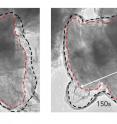 Time-lapse images from an electron microscope show a silicon microparticle expanding and cracking within its graphene cage as lithium ions rush in during battery charging. The cage is outlined in black, and the particle in red.