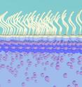 The new nanoscale manufacturing process draws zinc to the surface of a liquid, where it forms sheets just a few atoms thick.