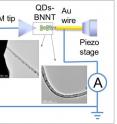Using a transmission electron microscope, Yoke Khin Yap and his research team observed quantum tunneling on bendable nanotubes. The material could make wearable tech better.