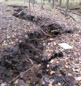 A photo taken in 2010 of the Menominee Crack, a 'pop-up' geological feature.