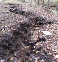 The Menominee Crack split open ground in Michigan's UP.
Caption: The Menominee Crack opened up in October 2010 and now researchers from Michigan Tech have determined it is a geologic pop-up structure.