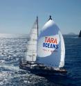 This is the crew aboard Tara in the open ocean.
