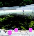 Photograph of the outdoor pool of Chigasaki Park, Yokohama City, Kanagawa Prefecture, Japan.