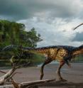 This is a life rendering of <i>Timurlengia euotica</i>.