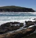 This is the study area along the rocky coast of the UC Bodega Marine Reserve, California.