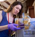 This is Vanessa L. Pool, a postdoctoral researcher at SLAC's Stanford Synchrotron Radiation Lightsource, with an instrument used to observe how a solar cell's silver contacts form during high-temperature manufacturing.