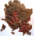 This is a fine open tabby of silk with irregular red color. There is no indication of local silk production, suggesting Samdzong was part of the long-distance trade network of the Silk Road.