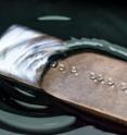 Water droplets are rolling on a superhydrophobic surface. The repellency of a superhydrophobic surface immersed in water causes a depression in the water, and the surface under water has a silvery shine caused by a microscopic layer of air trapped between the water and the superhydrophobic surface.