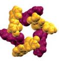 This is the structure of a ring assembled by six molecules of tellurazole oxide, as revealed by X-ray diffraction.