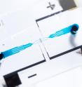 Close-up image shows a hybrid microfluidic chip that uses a simple circuit pattern to assign a unique seven-bit digital identification number to each cell passing through the channels.