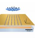 A microchip is used to trap a cloud of ultracold atoms and to entangle the atoms' magnetic moments.