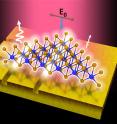 This is a schematic of the light emission from a single crystal monolayer of tungsten diselenide flake on a gold substrate. Part of the triangular flake rests on the patterned region of the substrate consisting of sub-20 nm wide trenches.
