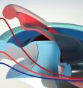 An artist's view of the stochastic resonance (SR) in an optomechanical resonator. The circular ring on the pillar resembles cross-section of a microtoroid resonator undergoing periodic mechanical oscillations (depicted as up (red) and down (blue) flapping) due to radiation pressure of light circulating within the structure. The bell-shaped curves represent the SNR as a function of noise in the system. Mechanical oscillations create a nonlinear system for the optical field and drive it into periodic and then to chaotic regime. Chaos with the help of optomechanical backaction noise enhances the signal-to-noise ratio (SNR) of a weak optical signal in the same resonator. Stochastic resonance occurs when the peaks in the noise coincide with the peaks of the weak signal. The SNR rises sharply to a maximum where SR occurs and then gradually decreases as the amount of noise is increased.