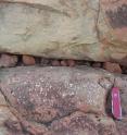 One of the lava flows analyzed in the study, from the shore of Australia's Beasley River. Gas bubbles that formed as the lava cooled, 2.7 billion years ago, have since filled with calcite and other minerals. The bubbles now look like white spots. Researchers compared bubble sizes from the top and bottom of the lava flows to measure the ancient air pressure.