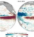 This is a comparison of the 2015 and 1997 El Ni&ntilde;os, two of the strongest on record, in October of each respective year. Observations of sea surface heights and temperatures, as well as wind patterns, show surface waters cooling off in the Western Pacific and warming significantly in the tropical Eastern Pacific.