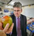 Lead researcher Professor Paul Monks, of the Department of Chemistry at the University of Leicester, pictured with a mango and mango-inspired paisley print tie.