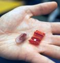 "It's really exciting to see our small origami robots doing something with potential important applications to healthcare," says Daniela Rus. Pictured, an example of a capsule and the unfolded origami device.