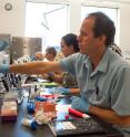 Associate Professor Hank Bass demonstrated the genetic technique he and Daniel Vera pioneered at Florida State. The technique helped scientists discover that only a small percentage of the genome is responsible for trait diversity.