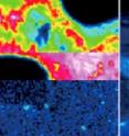 Compilation of control rod cross-sectional images, showing results of high-temperature steam oxidation.

<P>Japanese researchers have mapped the distribution of boron compounds in a model control rod, paving the way for determining re-criticality risk within the reactor.