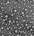 Drug particles, minus excess surfactant, suspended in an injectable solution.