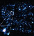 Dual-color super-resolution imaging reveals Pol II clusters (cyan blue) in the nucleus of a living cell. At this instant, a cluster of Pol II is captured on the active beta-actin gene locus (red).