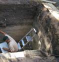 Residues of plant remains were obtained from sediments in the archaeological layers.