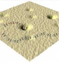 Molecules that alight on a surface used to test nanocars look more like obstacles, according to researchers at Rice University and North Carolina State University testing the mobility of single-molecule cars in open air.