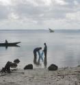 This image shows recovering plant remains on the coast of East Africa.