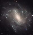 This Hubble Space Telescope image shows one of the galaxies in the survey to refine the measurement for how fast the universe expands with time, called the Hubble constant.