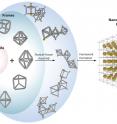 Nanoparticles (yellow balls) capped with short single-stranded DNA (blue squiggly lines) are mixed with polyhedral DNA frames (from top to bottom): cube, octahedron, elongated square bipyramid, prism, and triangular bipyramid. The frames' vertices are encoded with complementary DNA strands for nanoparticle binding. When the corresponding frames and particles mix, they form a framework.