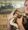 Damien Esquerre with a python.