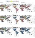 This map shows the relative importance of soil compared to climate in models of crop yield, for different scenarios of fertilizer or irrigation use.