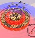 University of Houston researchers report that for the first time, surface-enhanced near-infrared absorption (SENIRA) spectroscopy has been demonstrated for high sensitivity chemical detection.