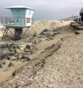 Torrey Pines State Beach experienced some of the most extensive erosion in San Diego County during El Ni&ntilde;o