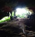 The great West Mouth of Niah Cave in Sarawak is more than 120 meters high. Harrisson's 1958 excavation area, where the 37,000 year old Deep Skull was found, can be seen in the far distance.