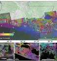The red frames show the location of enlarged interferograms presented in Figures A, B and C. A) Radarsat-1 interferogram of the western Chenier Plain spanning 24-day period (2004/01/03-2004/01/27). In the central part of the interferogram fringe patterns show changes in inland water bodies. The left side of the interferogram shows fringe patterns due to the morphology of the Chenier reflecting water level changes in the mudflats in between the ridges of the Chenier's. B) ALOS interferogram, 92 days (2007/07/03-2007/10/03), of the central Chenier Plain showing phase changes due to elongated fringe patterns sub-parallel to the coastline coinciding with man-made canals. C) ALOS interferogram of the west of the Mississippi River delta, spanning 92-day period (2007/09/11-2007/12/12). The interferogram showing two fringe cycles across the tidal zone mapping the tide inundation extent.