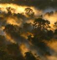 Fieldwork in the Amazon.