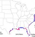 Researchers at The Ohio State University and NASA's Jet Propulsion Laboratory have created the first-ever map of key regions of "submarine groundwater discharge," where freshwater and seawater mix unseen below ground. The previously hidden sites mark areas of vulnerability for ocean contamination and drinking water contamination. Areas in dark blue are vulnerable to pollution from land to sea. Areas in pink are vulnerable to pollution from sea to land in the form of saltwater intrusion. Areas in light blue are vulnerable to both.