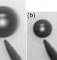 This is an immobilized bubble, slowly decreasing with time (Vm = 3.43 V, v =1000 Hz): t=0 (a), t=2 min 6 s (b), t=3 min 55 s (c) and t=4 min 33 s (d). Same scale for all the images.